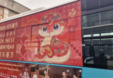 colantare autobuze stb
