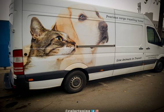 personalizare utilitara transport animale